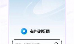 看料网用哪个浏览器,探索浏览器使用趋势概述