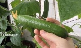 吃瓜每日更新,揭秘娱乐圈最新热点，带你领略明星幕后故事
