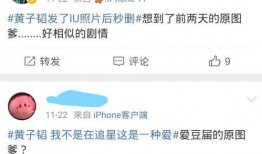 每日吃瓜日记怎么写,揭秘娱乐圈幕后故事