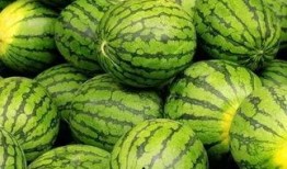 吃瓜网入口每日大赛,精彩对决，瓜界风云再起！