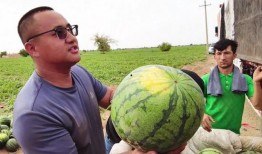 每日一图吃瓜,瓜界风云，揭秘娱乐圈幕后故事